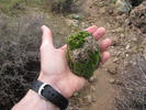 photo thumbnail #13