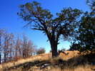 photo thumbnail #15
