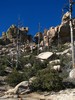 photo thumbnail #7