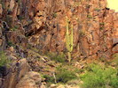 photo thumbnail #4