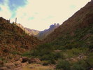 photo thumbnail #8