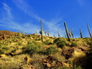 photo thumbnail #10