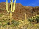 photo thumbnail #11
