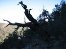 photo thumbnail #4
