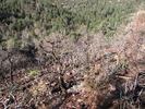 photo thumbnail #9