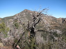 photo thumbnail #13