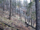 photo thumbnail #14