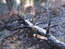 photo thumbnail #15