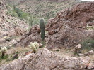 photo thumbnail #13