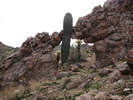 photo thumbnail #14
