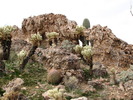 photo thumbnail #15