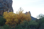 photo thumbnail #12
