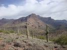 photo thumbnail #11