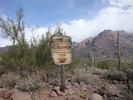 photo thumbnail #12