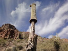photo thumbnail #4