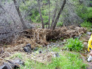 photo thumbnail #8