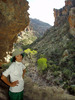 photo thumbnail #14