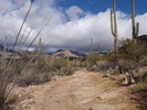photo thumbnail #3