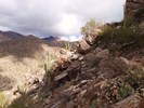 photo thumbnail #7