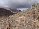 photo thumbnail #12