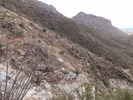 photo thumbnail #15