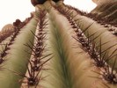 photo thumbnail #8