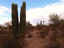 photo thumbnail #11