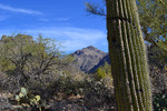 photo thumbnail #2
