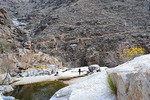 photo thumbnail #11