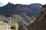photo thumbnail #13