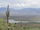 photo thumbnail #1