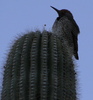 photo thumbnail #3
