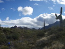 photo thumbnail #3