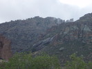 photo thumbnail #8