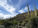 photo thumbnail #2
