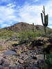 photo thumbnail #5