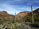 photo thumbnail #8