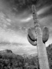photo thumbnail #11