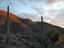 photo thumbnail #7