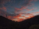 photo thumbnail #10