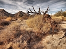 photo thumbnail #13