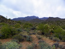 photo thumbnail #1