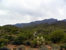 photo thumbnail #4