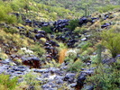 photo thumbnail #6