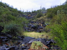 photo thumbnail #8