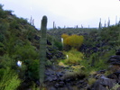 photo thumbnail #11