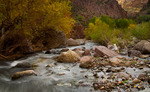 photo thumbnail #3
