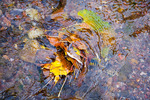photo thumbnail #15