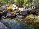 photo thumbnail #3