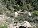 photo thumbnail #14